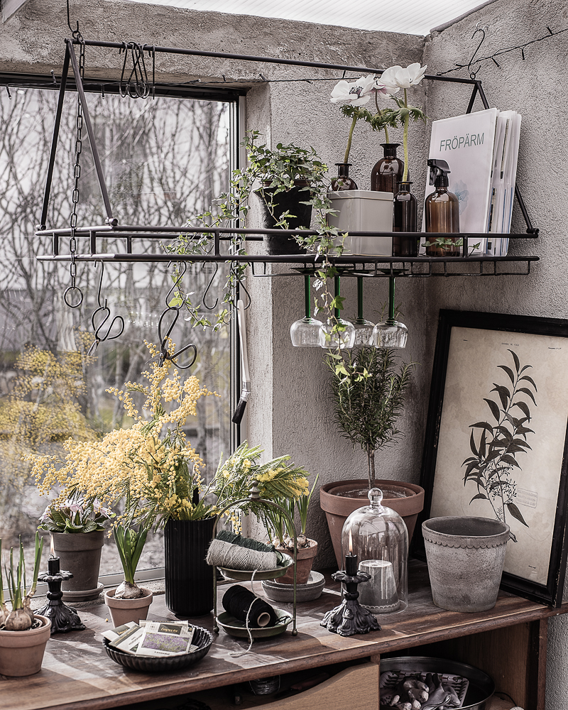 Växthus, hylla Mio, takhängd hylla, mimosa, (1 av 1)