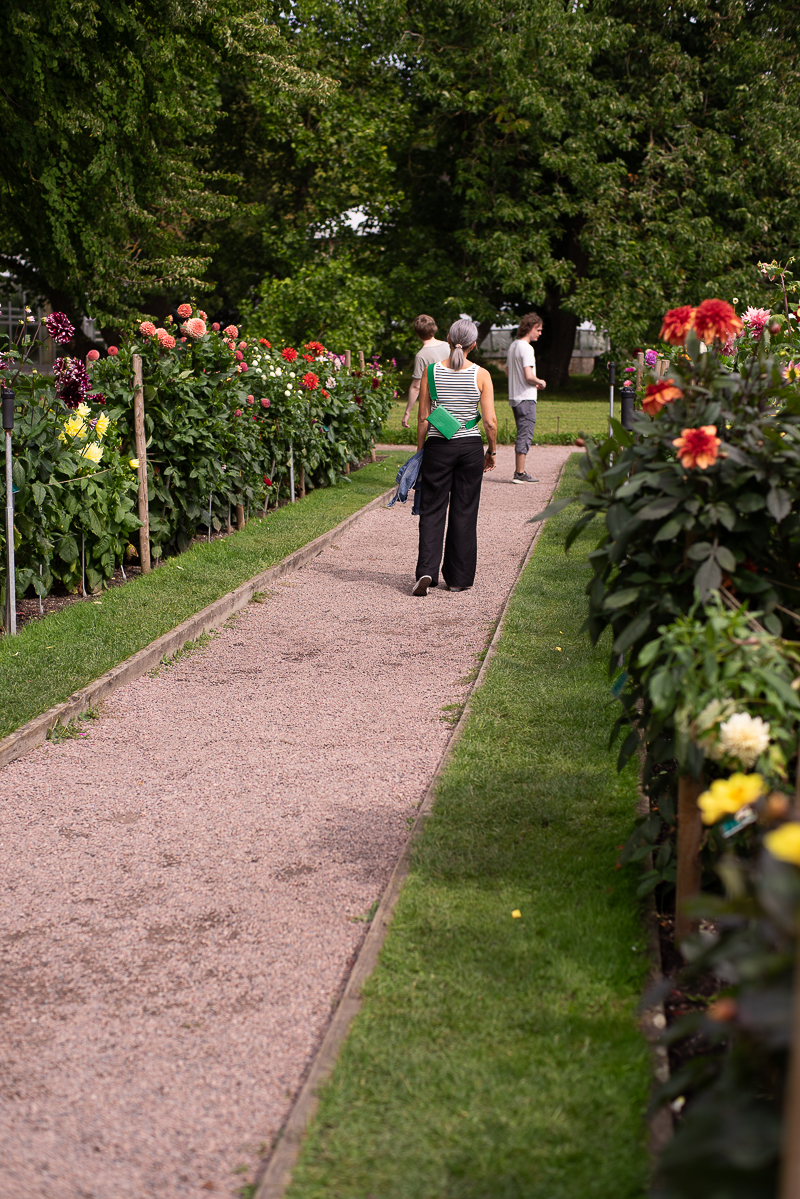 Botaniska trädgården i Lund